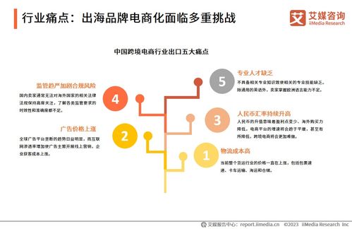 2023年中國品牌電商服務行業深度洞察 信息咨詢服務賦能品牌新增長